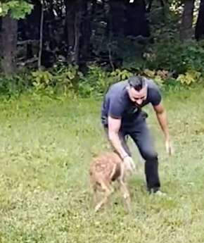 Part2 Animals Rescue #dogrescue #rescuedog #dogsofttiktok #foryoupage #foryou #dogs