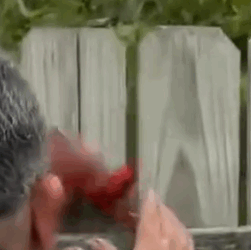 Part2 Animals Rescue #dogrescue #rescuedog #dogsofttiktok #foryoupage #foryou #dogs