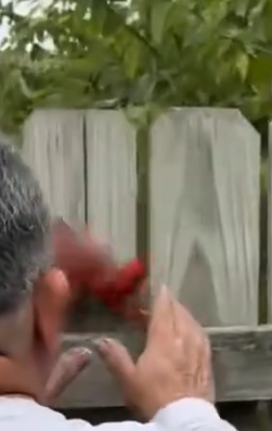 Part2 Animals Rescue #dogrescue #rescuedog #dogsofttiktok #foryoupage #foryou #dogs