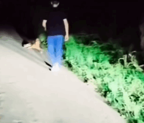 Part2 Animals Rescue #dogrescue #rescuedog #dogsofttiktok #foryoupage #foryou #dogs