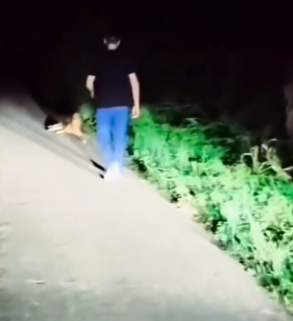 Part2 Animals Rescue #dogrescue #rescuedog #dogsofttiktok #foryoupage #foryou #dogs