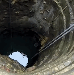 Part2 Animals Rescue #dogrescue #rescuedog #dogsofttiktok #foryoupage #foryou #dogs