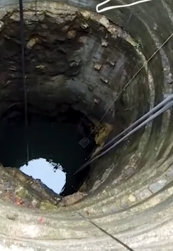 Part2 Animals Rescue #dogrescue #rescuedog #dogsofttiktok #foryoupage #foryou #dogs