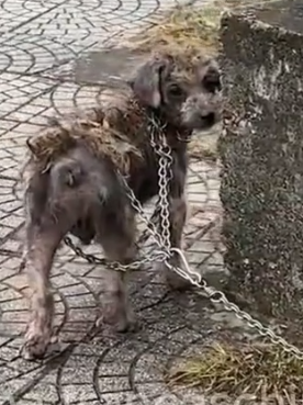 On the way home after work, in the middle of a cold winter, the temperature was about 3 degrees Celsius_part2