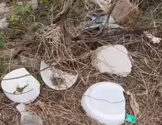 Part2 Animals Rescue #dogrescue #rescuedog #dogsofttiktok #foryoupage #foryou #dogs