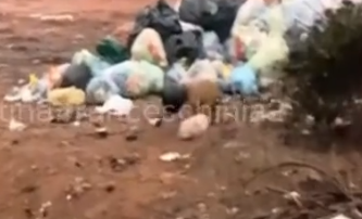 Poor stray dog rummaged through the trash for food and got his head stuck and couldn’t get out_part2