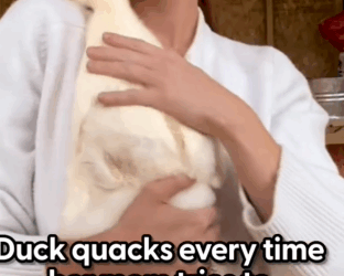 She tries to climb inside Mom’s skin We spoke with Alissa about her very snuggly duck_part2