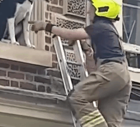 Part2 Animals Rescue #dogrescue #rescuedog #dogsofttiktok #foryoupage #foryou #dogs