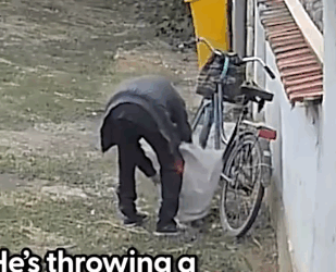 Part2 Animals Rescue #dogrescue #rescuedog #dogsofttiktok #foryoupage #foryou #dogs