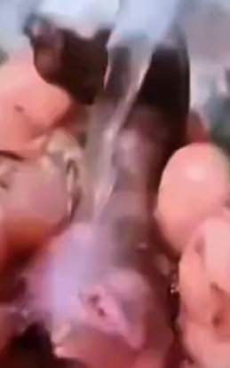 Part2 Animals Rescue #dogrescue #rescuedog #dogsofttiktok #foryoupage #foryou #dogs