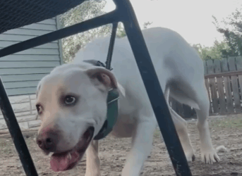 The magical moment she tries to play for the first time_part2