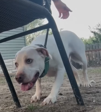 The magical moment she tries to play for the first time_part2