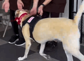 The moment she finally meets her new family is so magical_part2