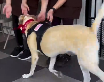 The moment she finally meets her new family is so magical_part2