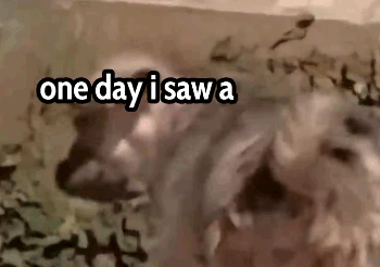 Part2 Animals Rescue #dogrescue #rescuedog #dogsofttiktok #foryoupage #foryou #dogs