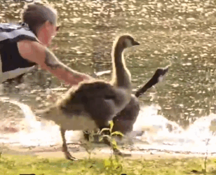 The way he started wagging his whole body after she set him free_part2