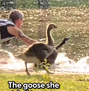 The way he started wagging his whole body after she set him free_part2