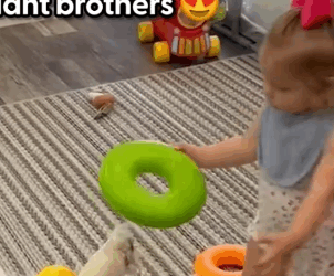 Part2 Animals Rescue #dogrescue #rescuedog #dogsofttiktok #foryoupage #foryou #dogs