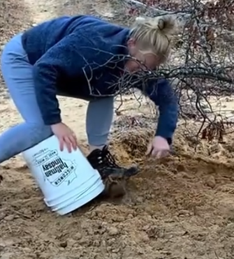 Part2 Animals Rescue #dogrescue #rescuedog #dogsofttiktok #foryoupage #foryou #dogs