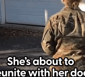 Part2 Animals Rescue #dogrescue #rescuedog #dogsofttiktok #foryoupage #foryou #dogs