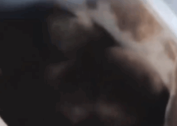 Part2 Animals Rescue #dogrescue #rescuedog #dogsofttiktok #foryoupage #foryou #dogs