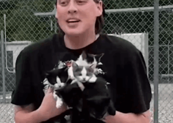 They were truly in the right place at the right time_part2