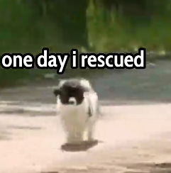 Part2 Animals Rescue #dogrescue #rescuedog #dogsofttiktok #foryoupage #foryou #dogs