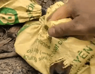 Part2 Animals Rescue #dogrescue #rescuedog #dogsofttiktok #foryoupage #foryou #dogs