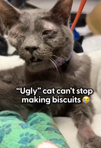 Watch her become so beautiful — and show her rescuer she wants to keep_part2