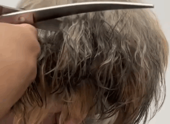 Part2 Animals Rescue #dogrescue #rescuedog #dogsofttiktok #foryoupage #foryou #dogs