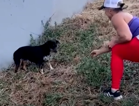 Woman Spots Small Scared Dog By A Busy Highway_part2
