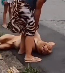 Part2 Animals Rescue #dogrescue #rescuedog #dogsofttiktok #foryoupage #foryou #dogs