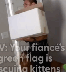 Part2 Animals Rescue #dogrescue #rescuedog #dogsofttiktok #foryoupage #foryou #dogs