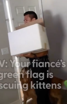 Part2 Animals Rescue #dogrescue #rescuedog #dogsofttiktok #foryoupage #foryou #dogs