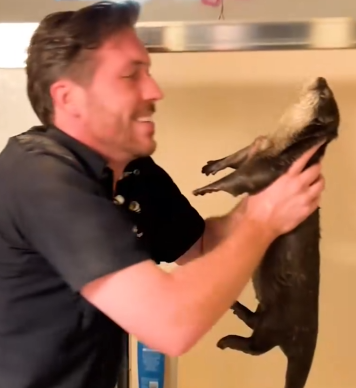 Part2 Animals Rescue #dogrescue #rescuedog #dogsofttiktok #foryoupage #foryou #dogs