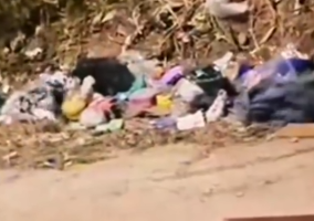 Part2 Animals Rescue #dogrescue #rescuedog #dogsofttiktok #foryoupage #foryou #dogs