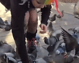 Part2 Animals Rescue #dogrescue #rescuedog #dogsofttiktok #foryoupage #foryou #dogs