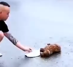 Part2 Animals Rescue #dogrescue #rescuedog #dogsofttiktok #foryoupage #foryou #dogs