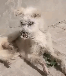 Her body was broken but her eyes begged for love_part2