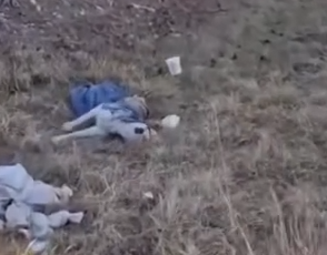 Part2 Animals Rescue #dogrescue #rescuedog #dogsofttiktok #foryoupage #foryou #dogs