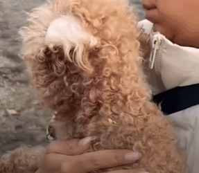 He was so scared at first — wait to see what he’s like now_part2