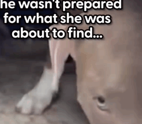 He’d clearly had very little human interaction — and still knew how to be such_part2