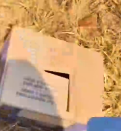 Part2 Animals Rescue #dogrescue #rescuedog #dogsofttiktok #foryoupage #foryou #dogs