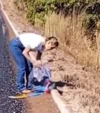 Part2 Animals Rescue #dogrescue #rescuedog #dogsofttiktok #foryoupage #foryou #dogs