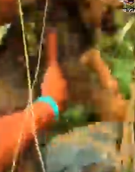 Part2 Animals Rescue #dogrescue #rescuedog #dogsofttiktok #foryoupage #foryou #dogs