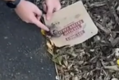 Part2 Animals Rescue #dogrescue #rescuedog #dogsofttiktok #foryoupage #foryou #dogs