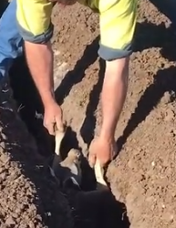 Part2 Animals Rescue #dogrescue #rescuedog #dogsofttiktok #foryoupage #foryou #dogs