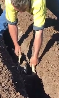 Part2 Animals Rescue #dogrescue #rescuedog #dogsofttiktok #foryoupage #foryou #dogs