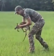 Part2 Animals Rescue #dogrescue #rescuedog #dogsofttiktok #foryoupage #foryou #dogs