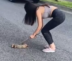 Part2 Animals Rescue #dogrescue #rescuedog #dogsofttiktok #foryoupage #foryou #dogs